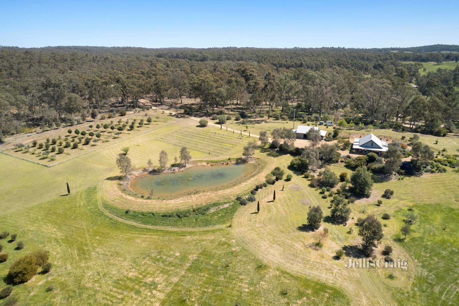 30 Garsed Road, Clydesdale image 5