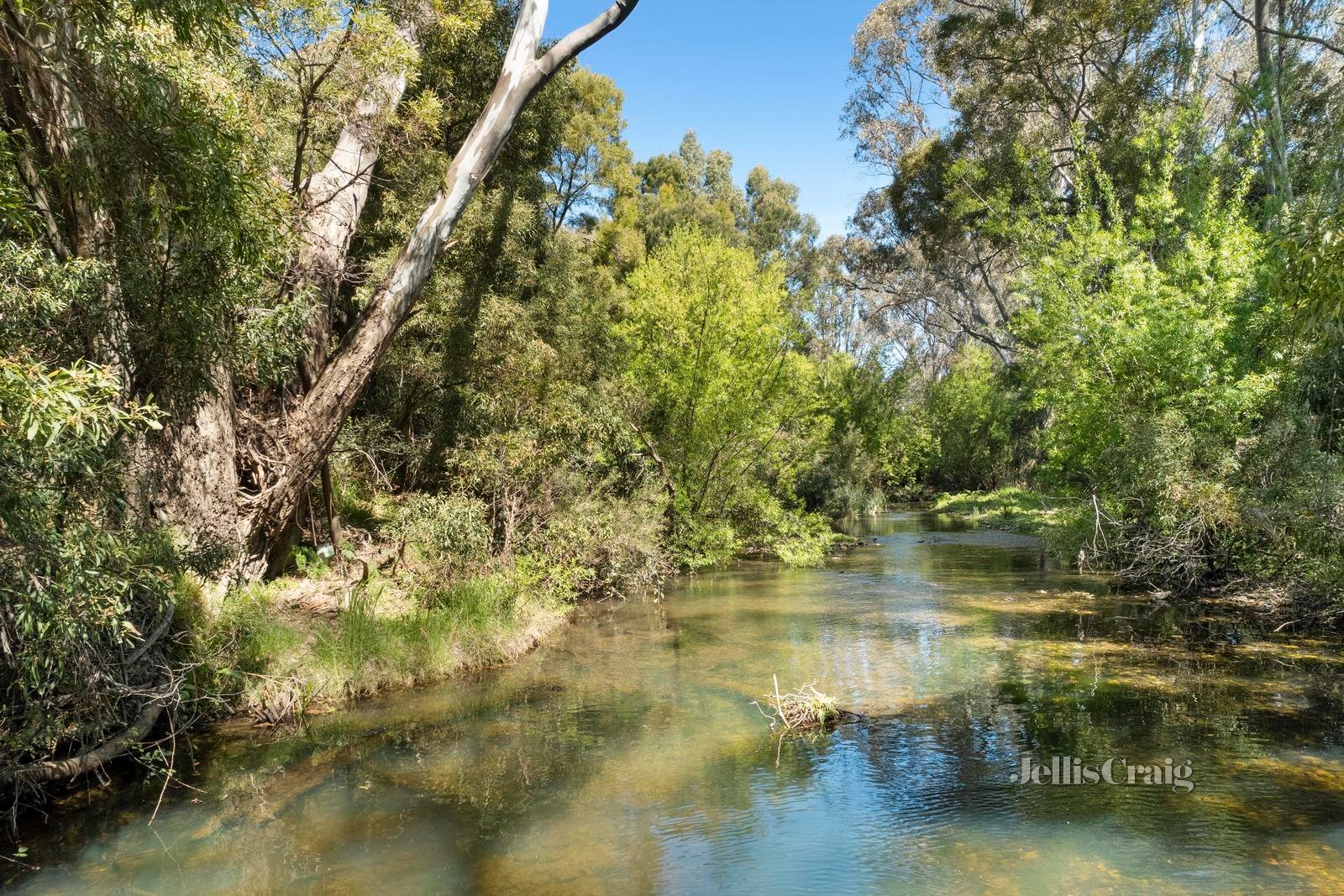 30 Garsed Road, Clydesdale image 18