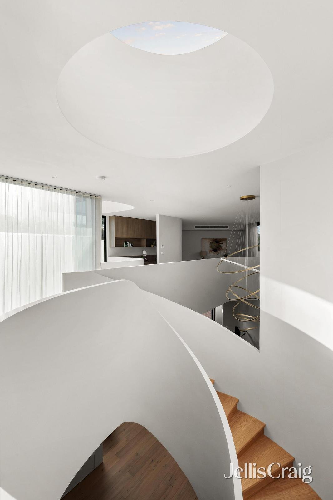 30 Halley Avenue, Camberwell image 13