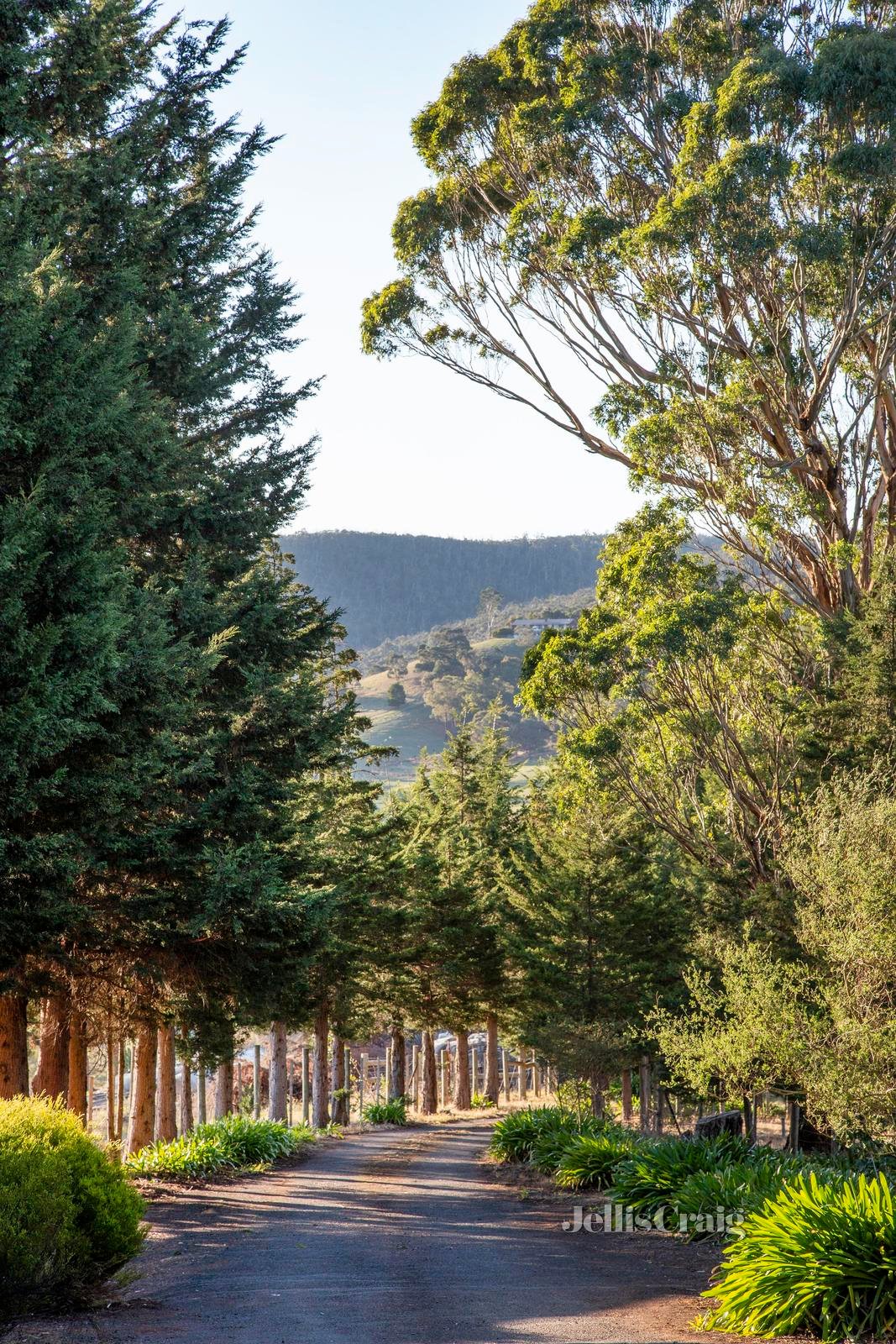 30 Halls Road, Whittlesea image 1