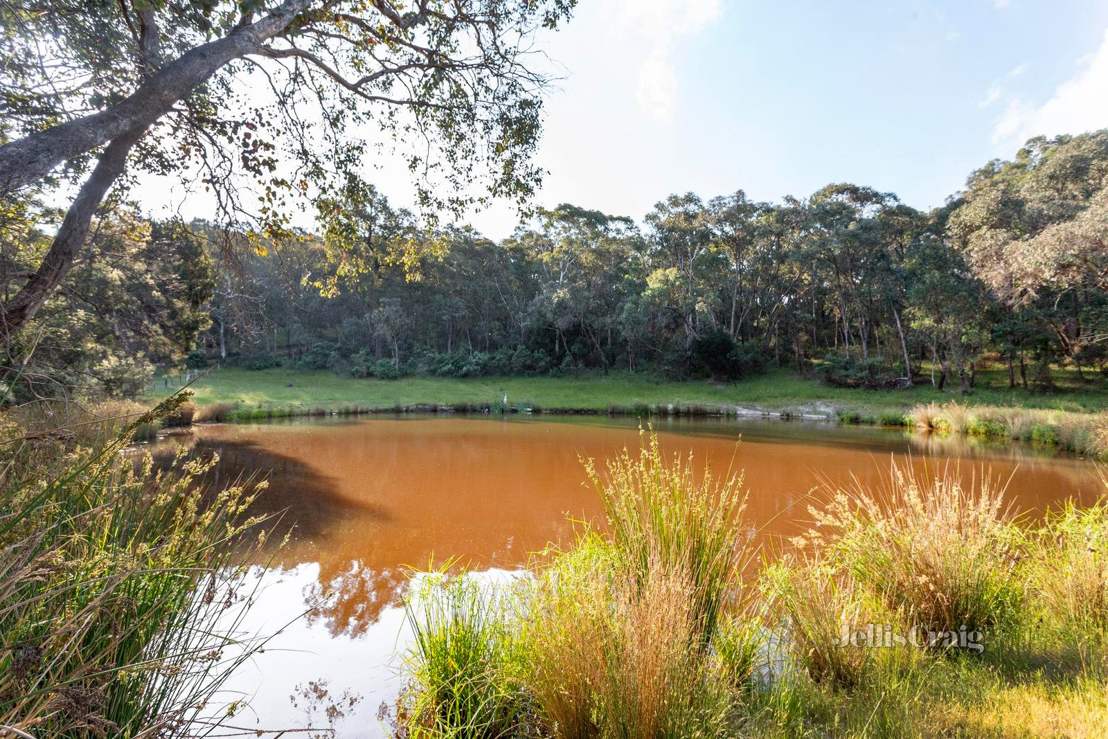 30 Heather Avenue, Hurstbridge image 23