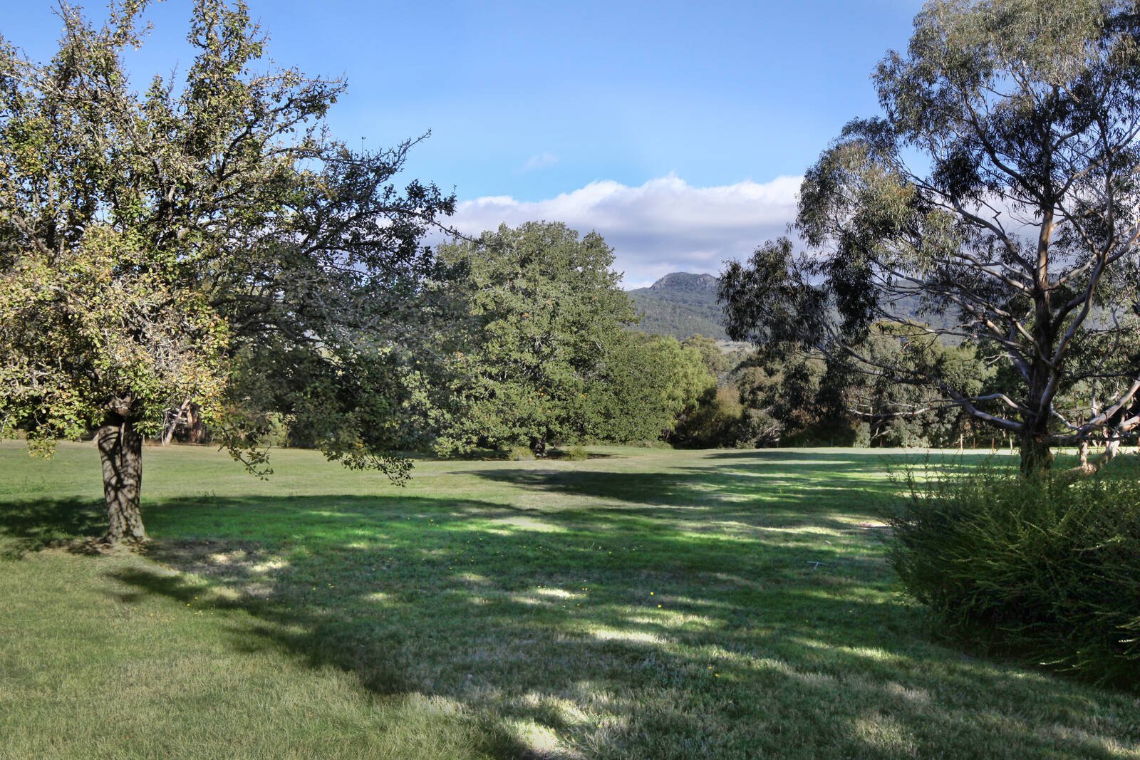 Property Gallery Thumbnail 13