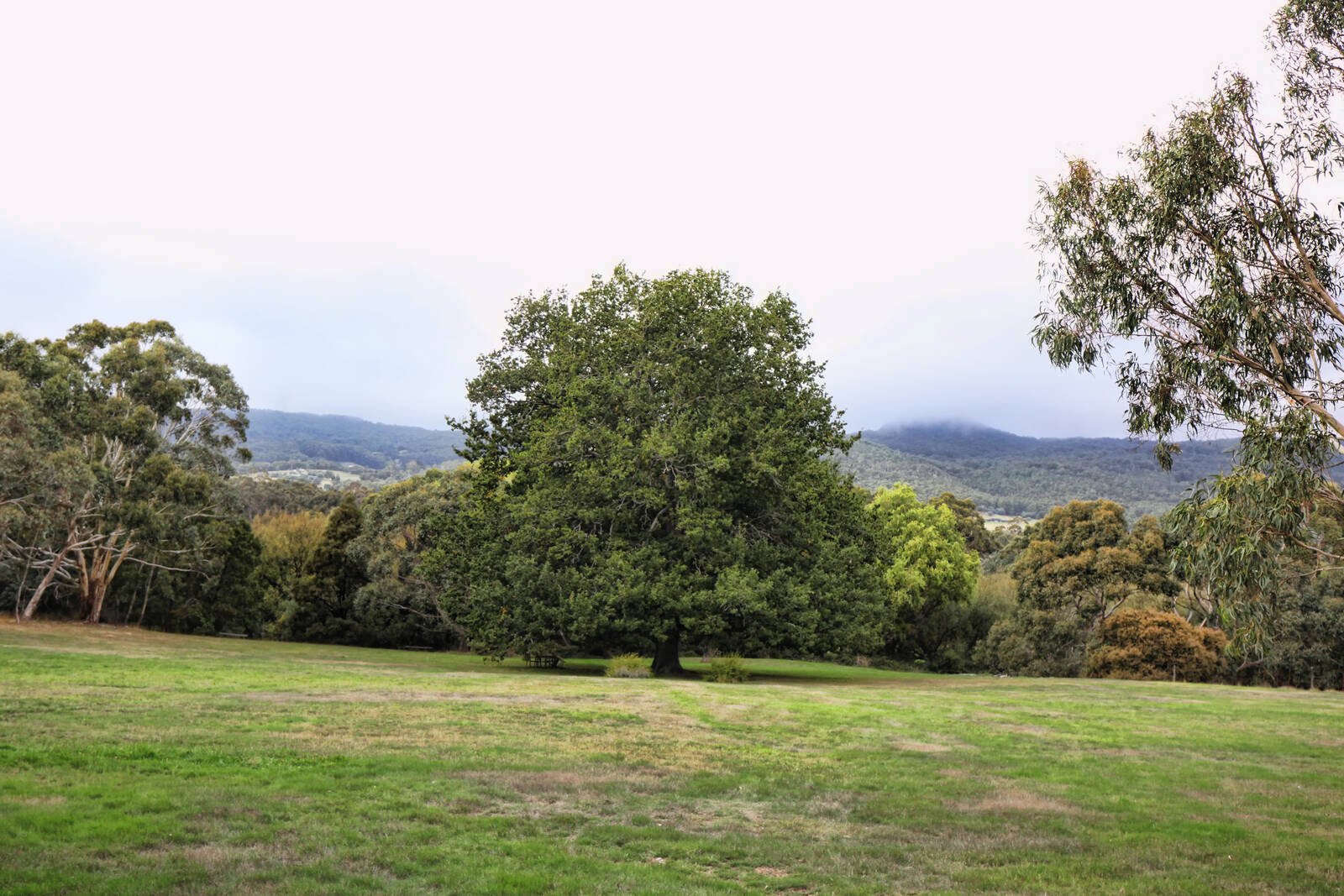 Property Gallery Thumbnail 14