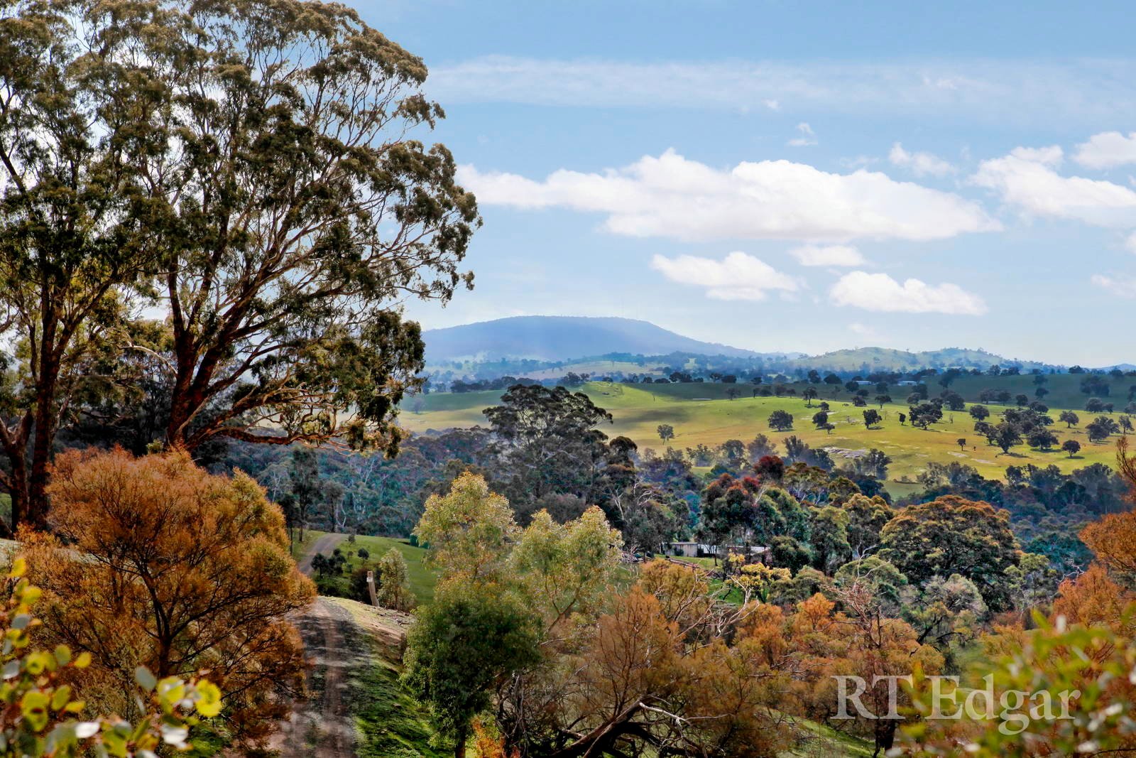 Property Gallery Thumbnail 3