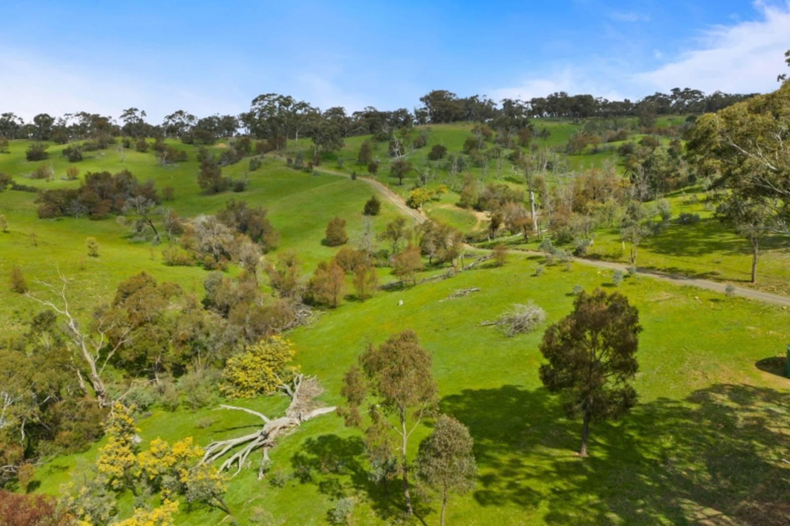 Property Gallery Thumbnail 8