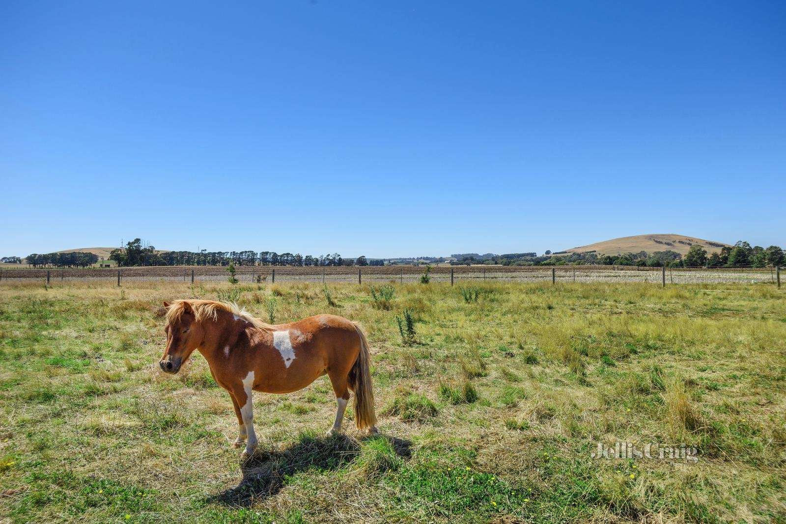 30 Myles Road, Newlyn North image 5