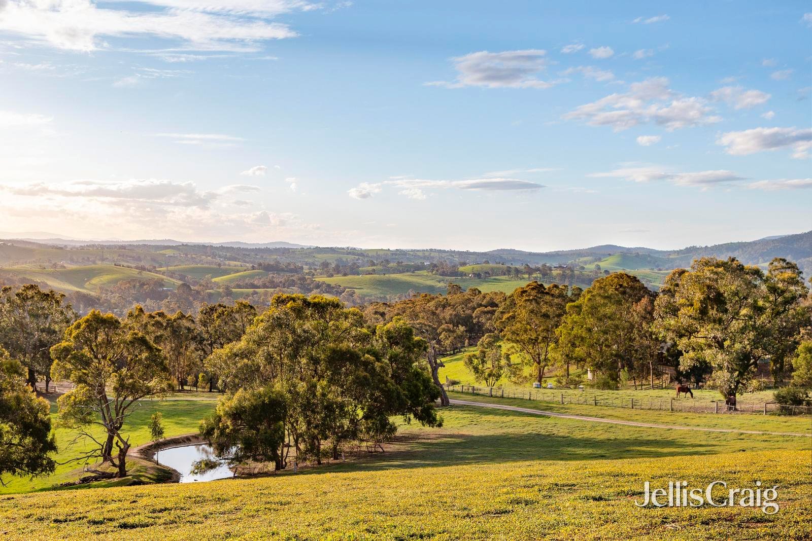 30 Thomas Road, Arthurs Creek image 28