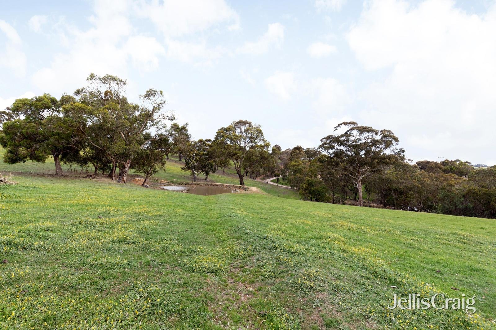 30 Thomas Road, Arthurs Creek image 34