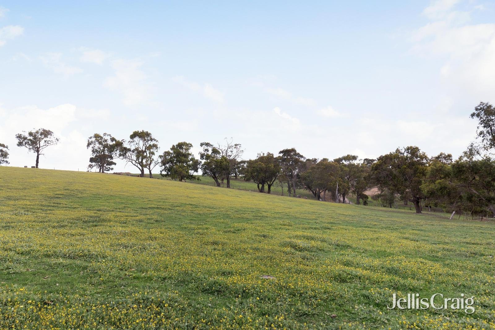30 Thomas Road, Arthurs Creek image 35