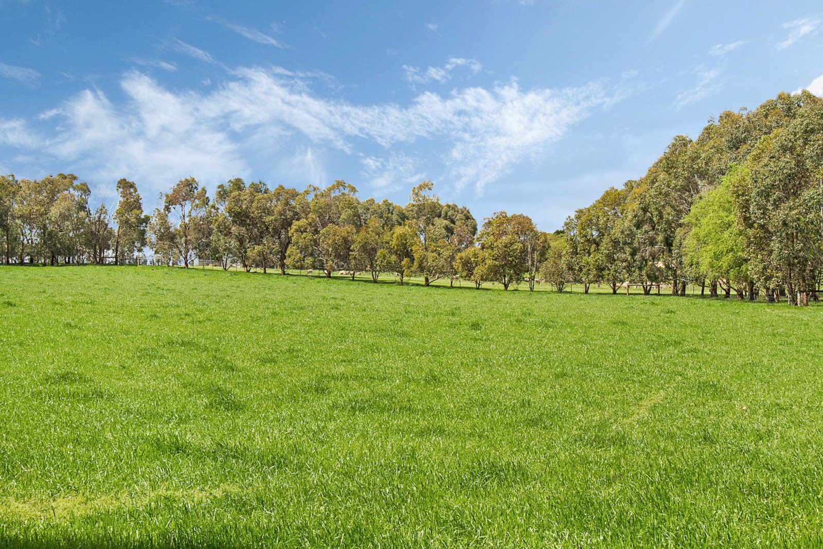 300 Central Road, Kyneton image 10