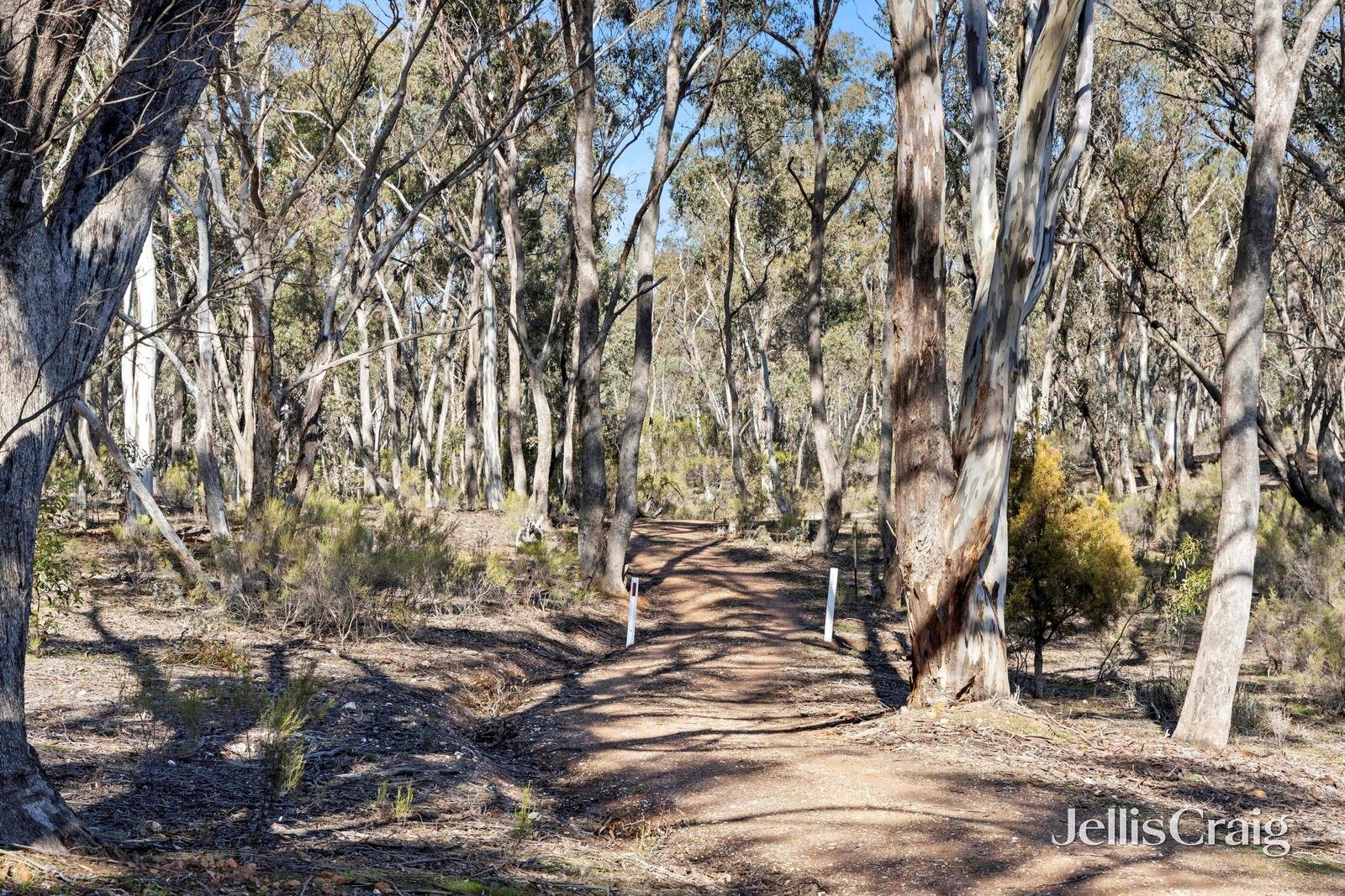 302 Rilens Road, Muckleford image 2