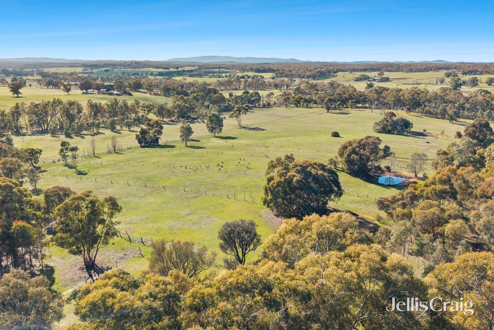 302 Rilens Road, Muckleford image 12