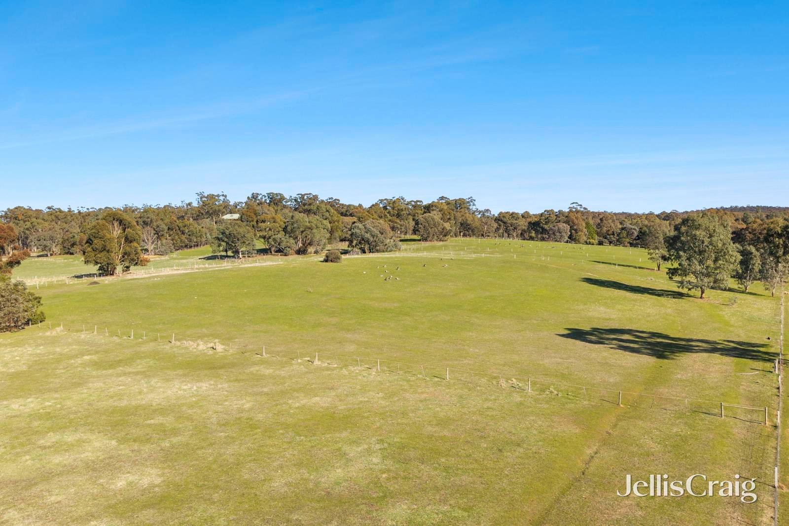 302 Rilens Road, Muckleford image 16