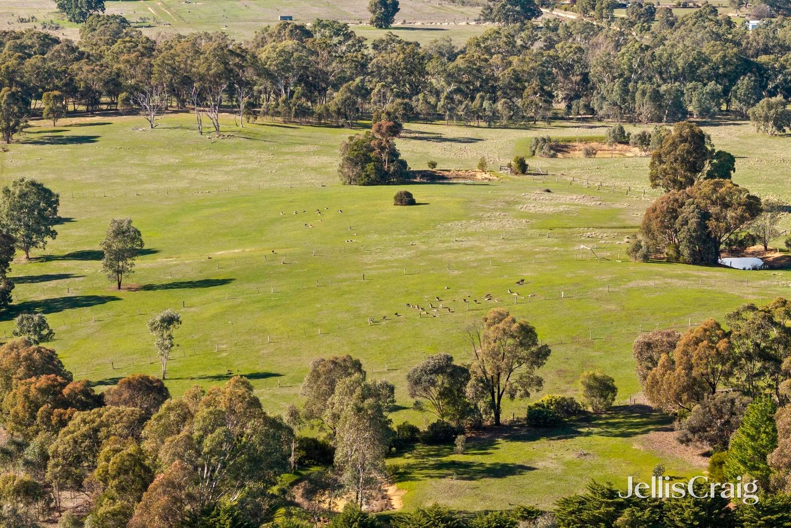 302 Rilens Road, Muckleford image 17