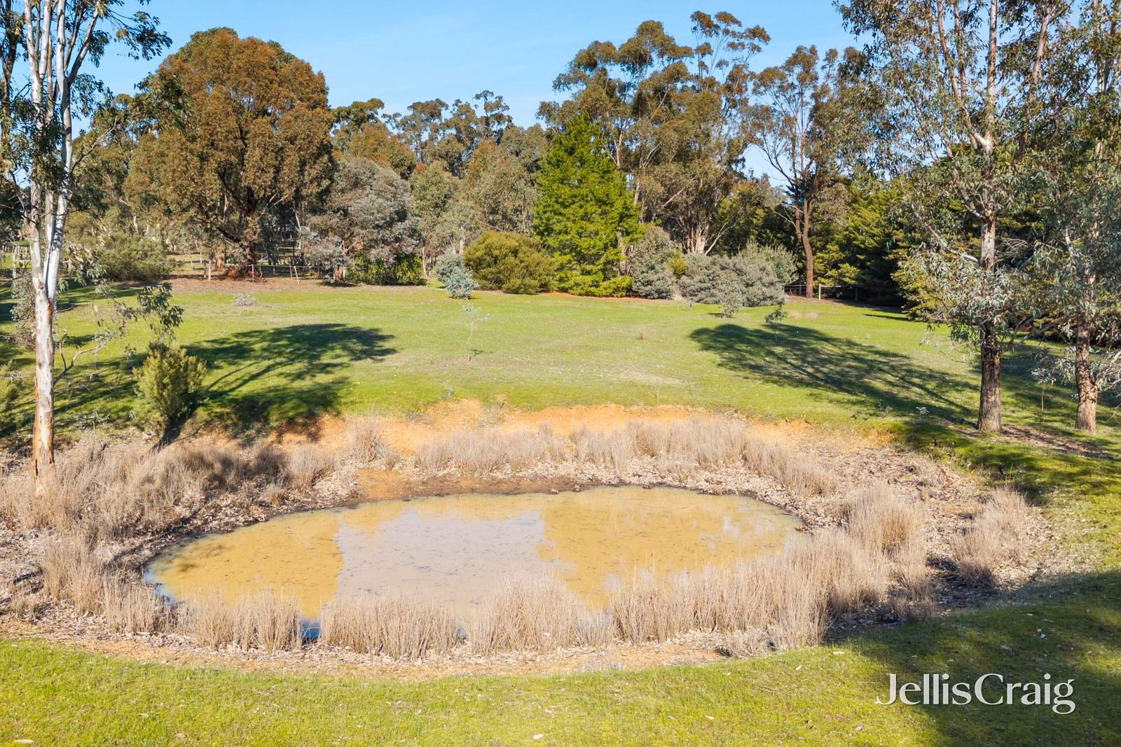 302 Rilens Road, Muckleford image 18