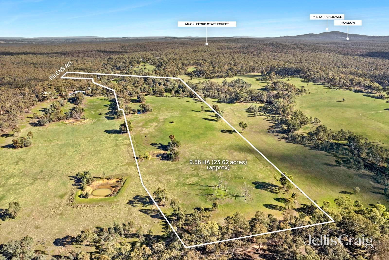 302 Rilens Road, Muckleford image 21
