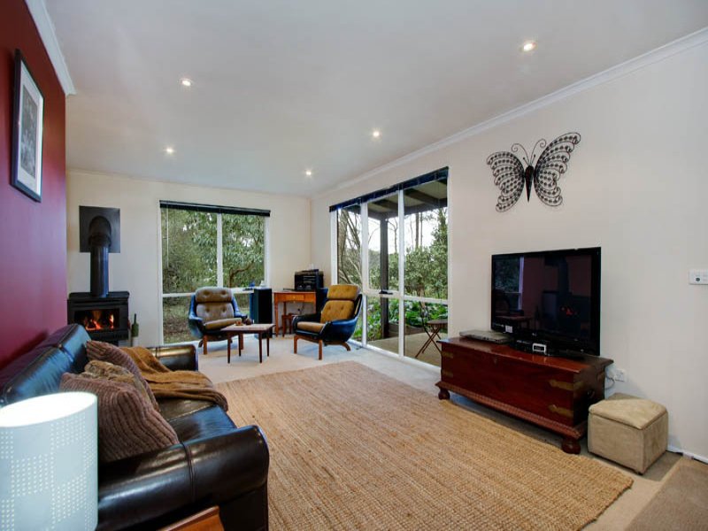 305 Glenburn/Kinglake Road, Kinglake image 4