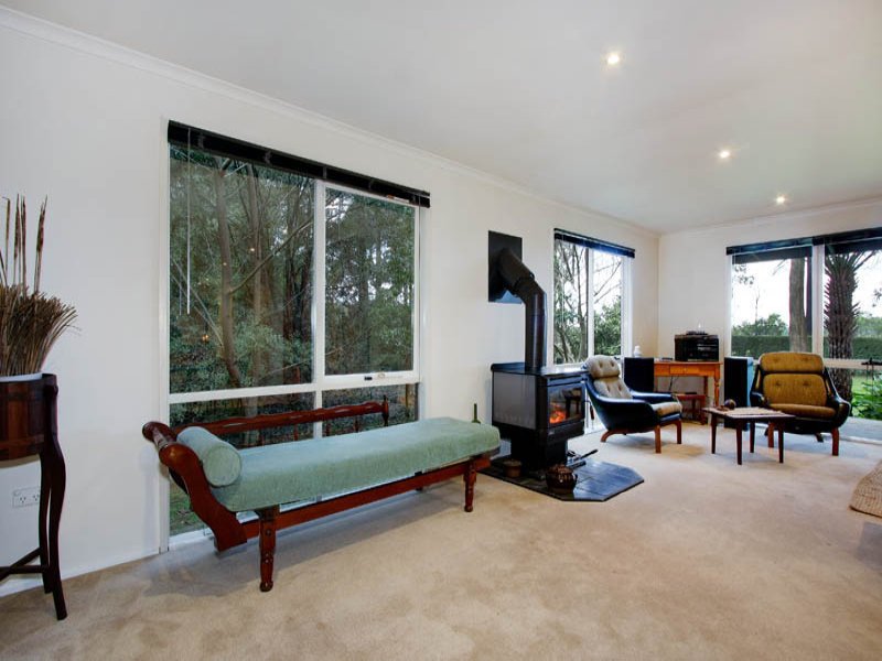 305 Glenburn/Kinglake Road, Kinglake image 6
