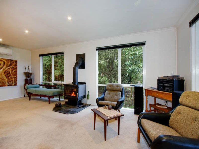 305 Glenburn/Kinglake Road, Kinglake image 7