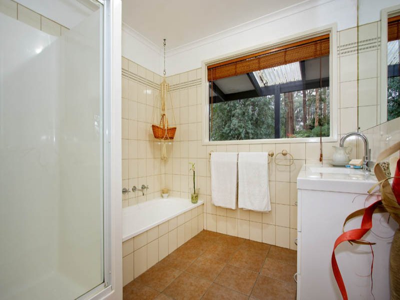 305 Glenburn/Kinglake Road, Kinglake image 12