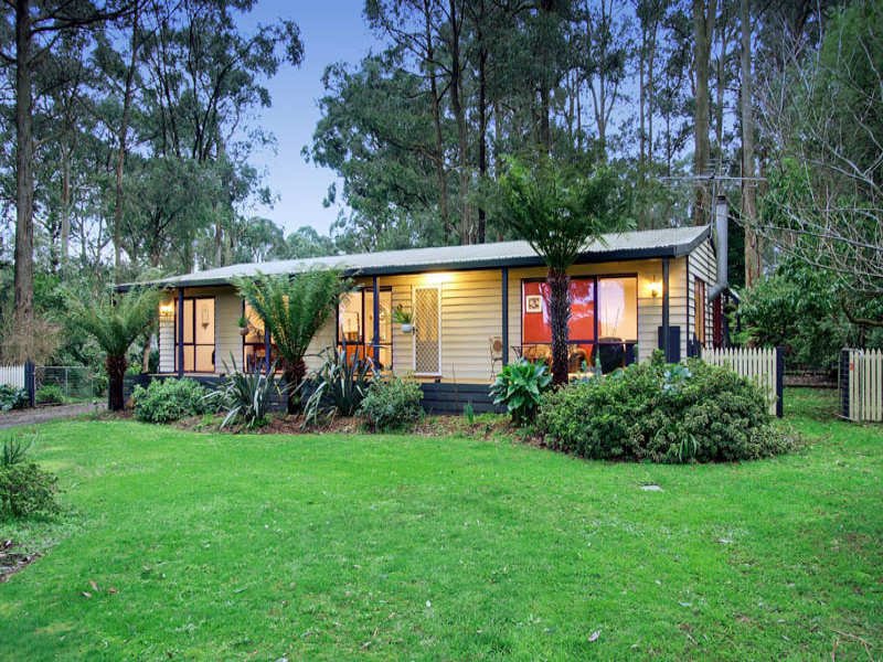 305 Glenburn/Kinglake Road, Kinglake image 15