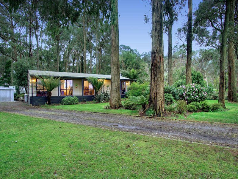 305 Glenburn/Kinglake Road, Kinglake image 16