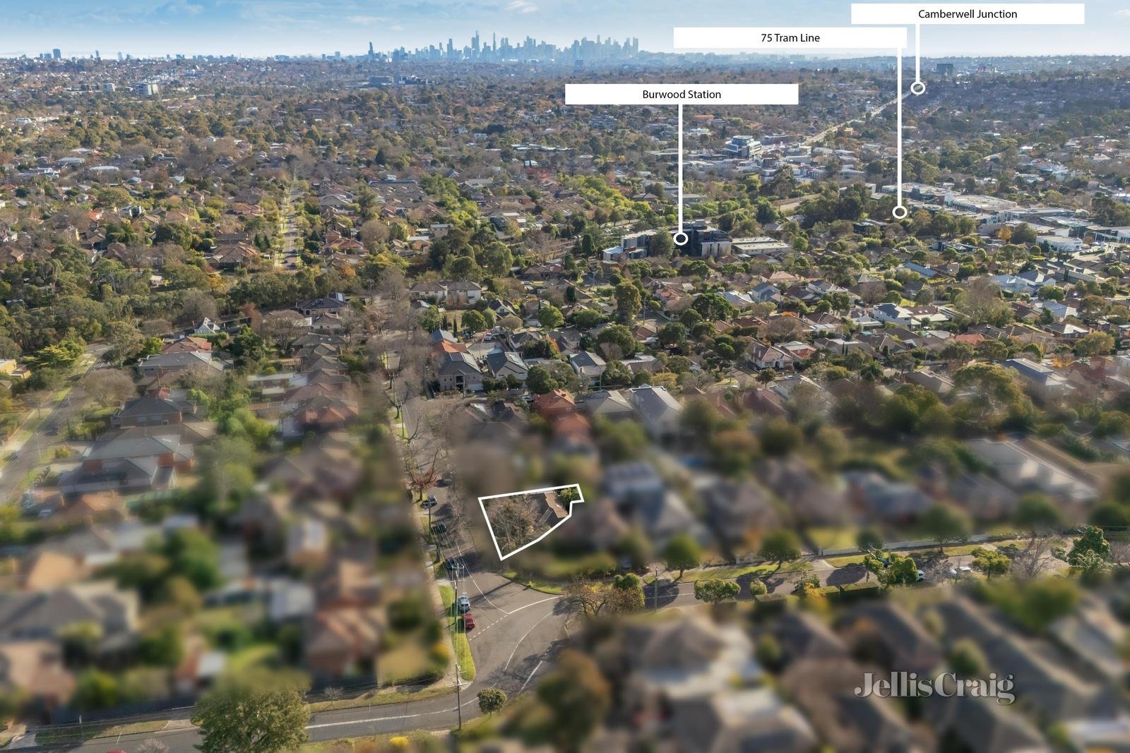 31 Bertram Street, Glen Iris image 10