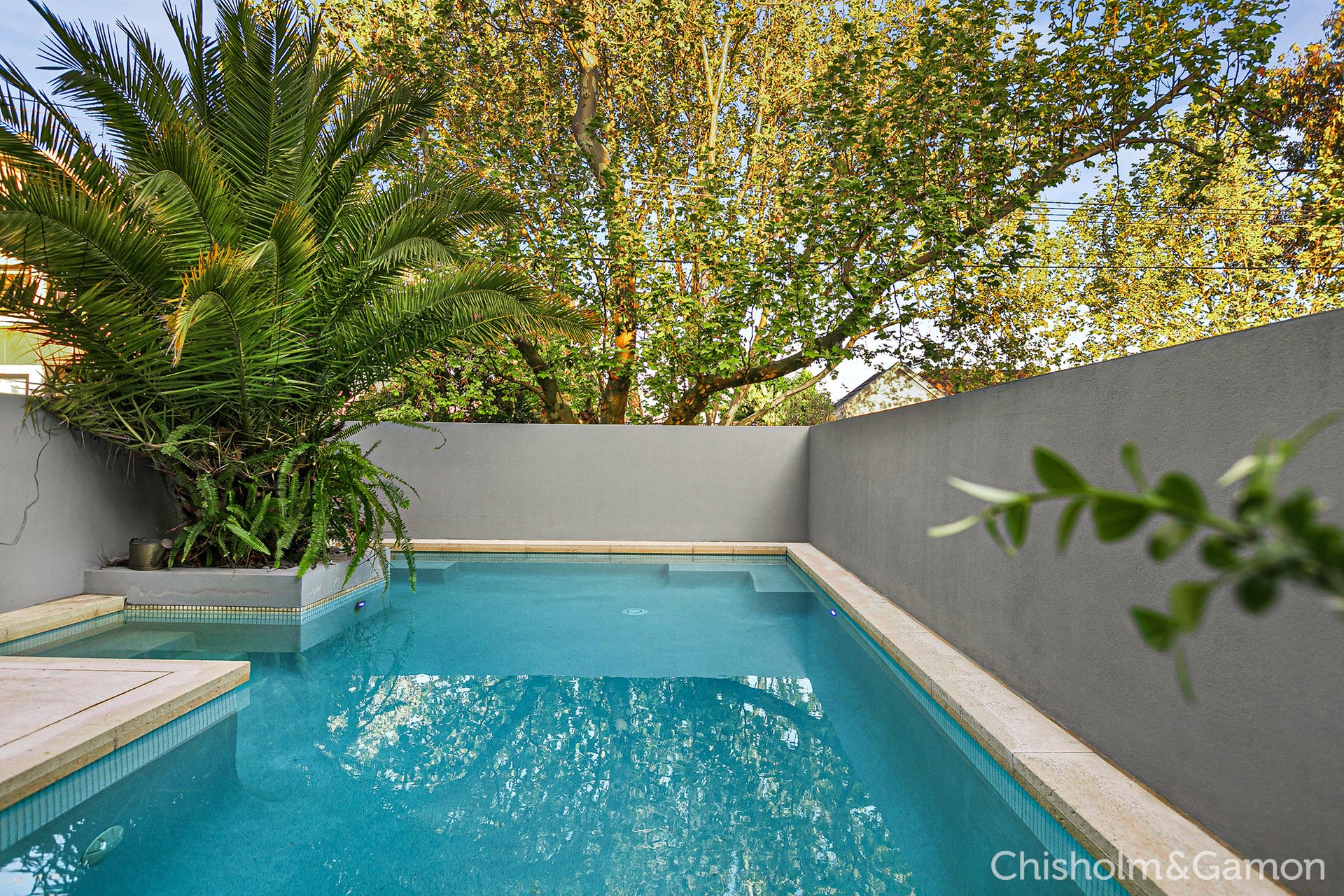 31 Bonview Road, Malvern image 4