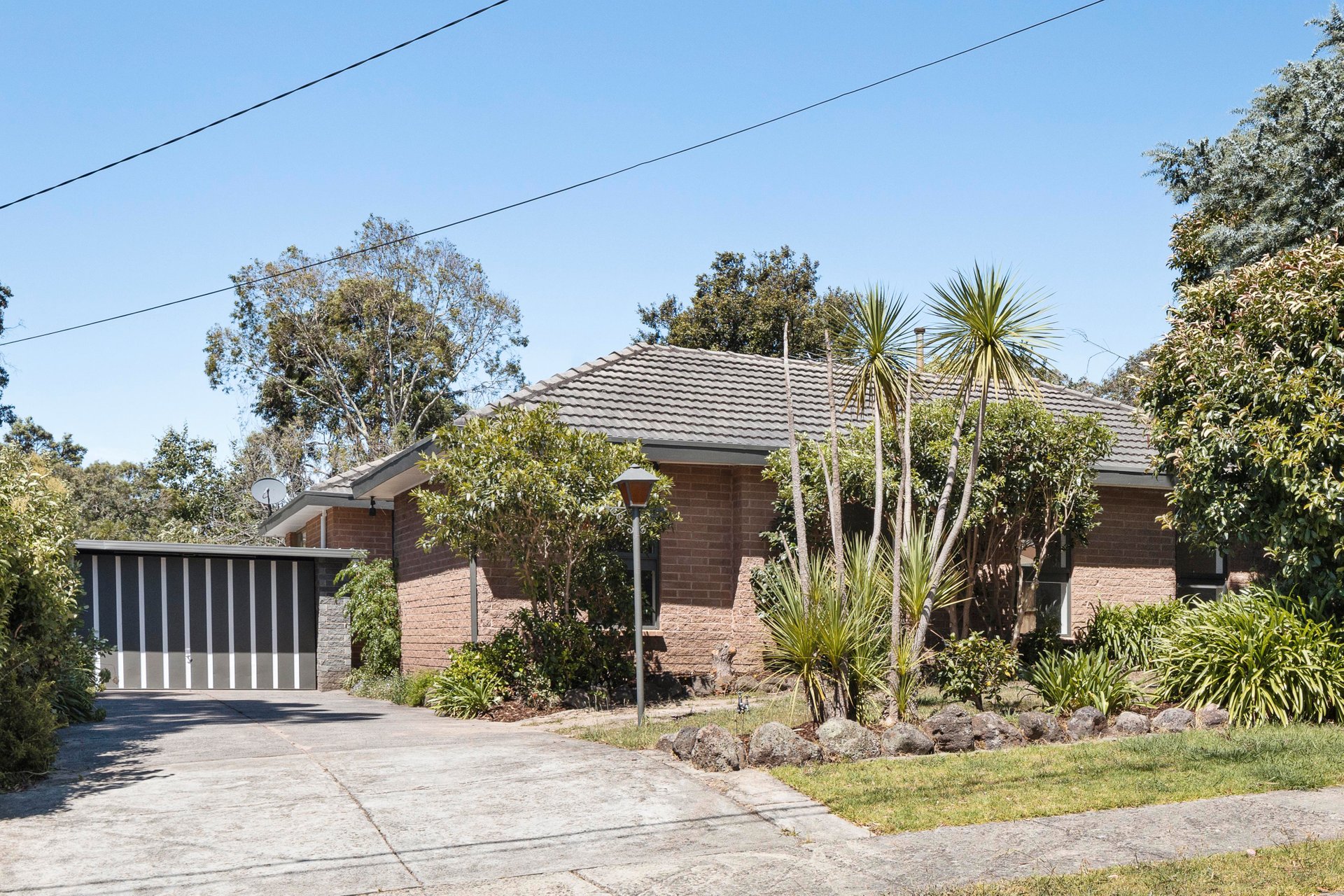 31 Boyce Avenue, Briar Hill image 1