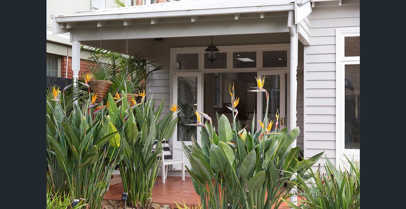 31 Broomfield Road, Hawthorn&nbsp;East image 7