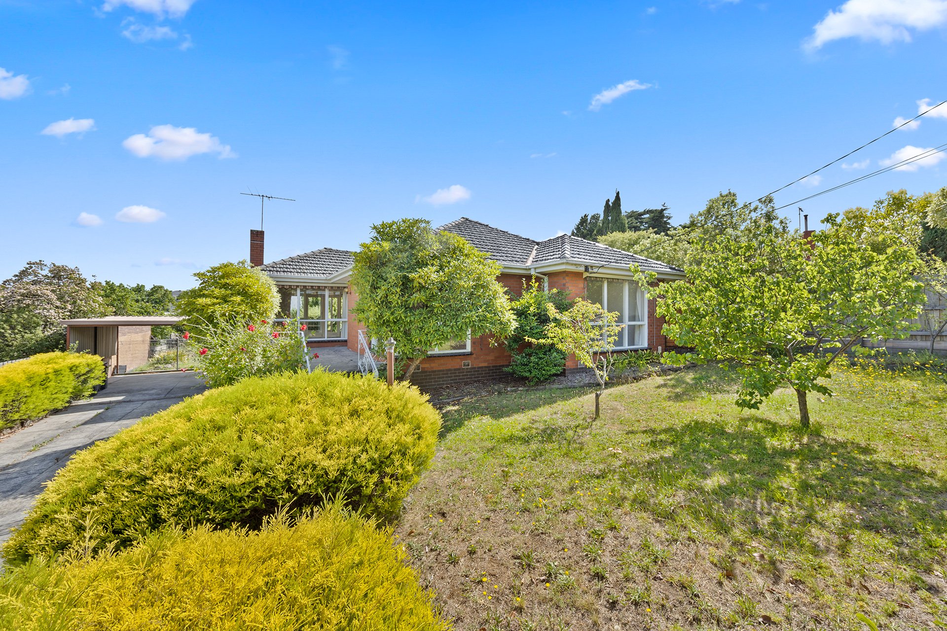 31 Cassowary Street, Doncaster&nbsp;East image 9