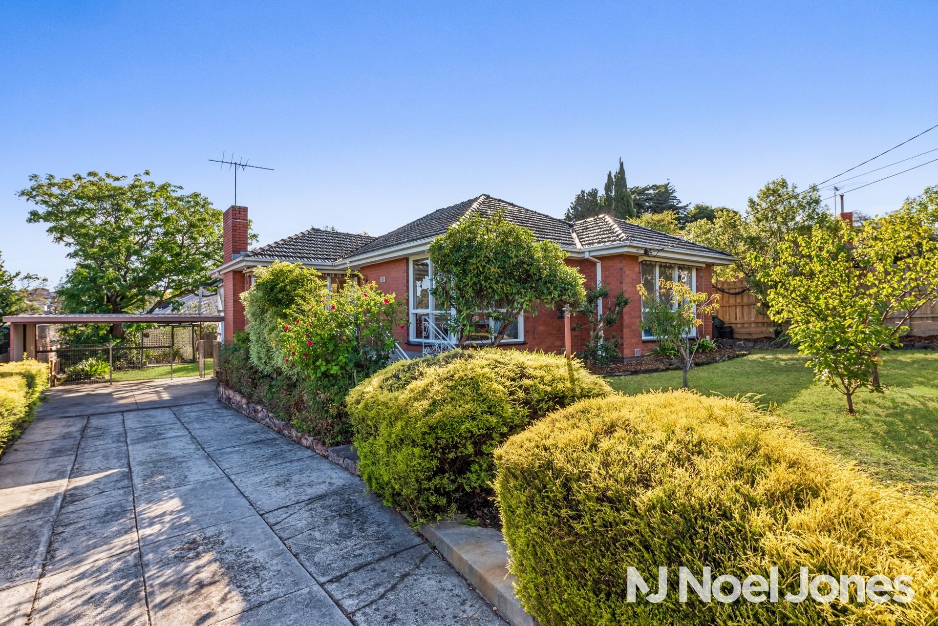 31 Cassowary Street, DONCASTER EAST VIC 3109 Noel Jones