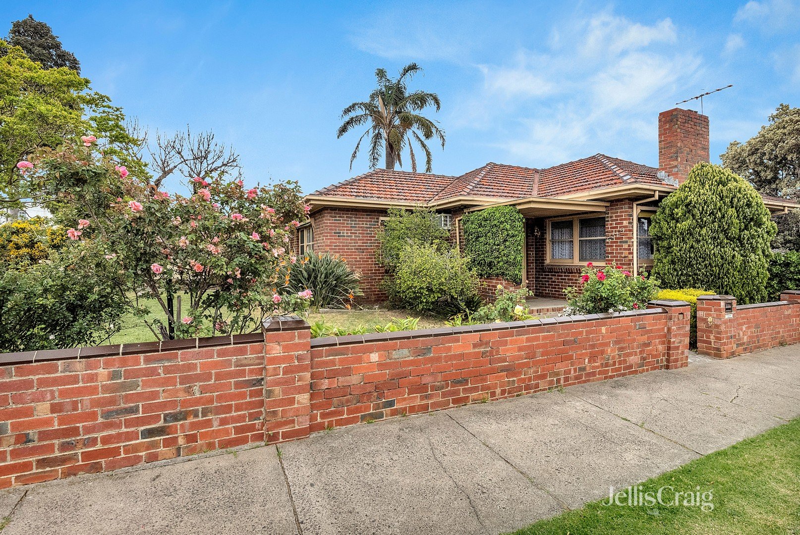 31 Hotham Road, Niddrie image 10