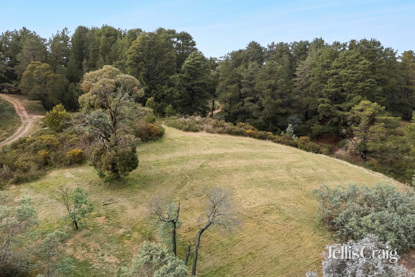 31 Houston Street, Daylesford image 7