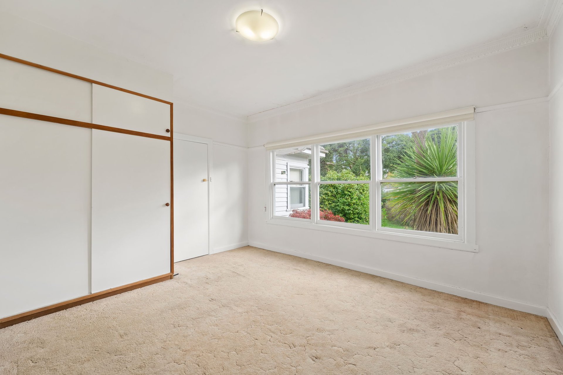 31 Kendall Street, Ringwood image 5