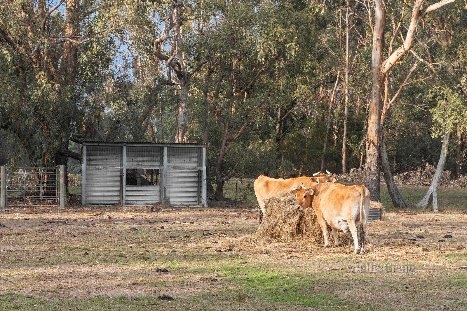 31 Kinsellas Lane, Woodend image 15