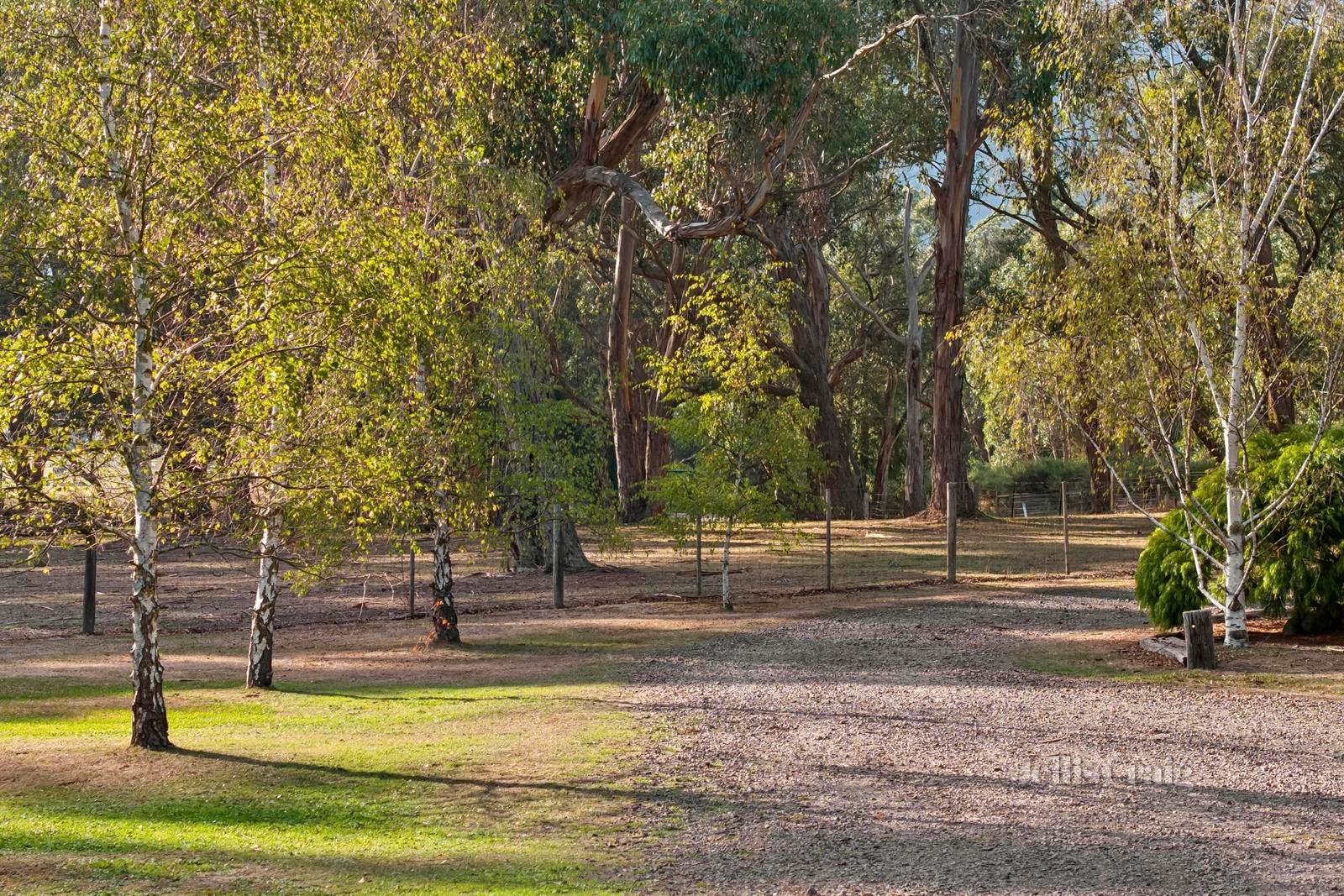 31 Kinsellas Lane, Woodend image 18