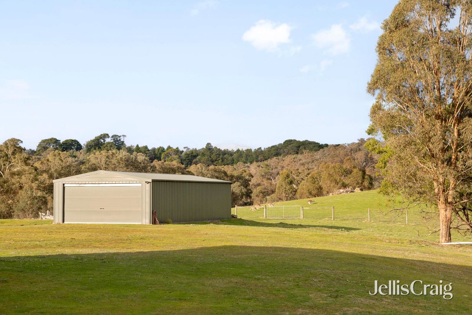 31 Laceys Road, Cottles Bridge image 25