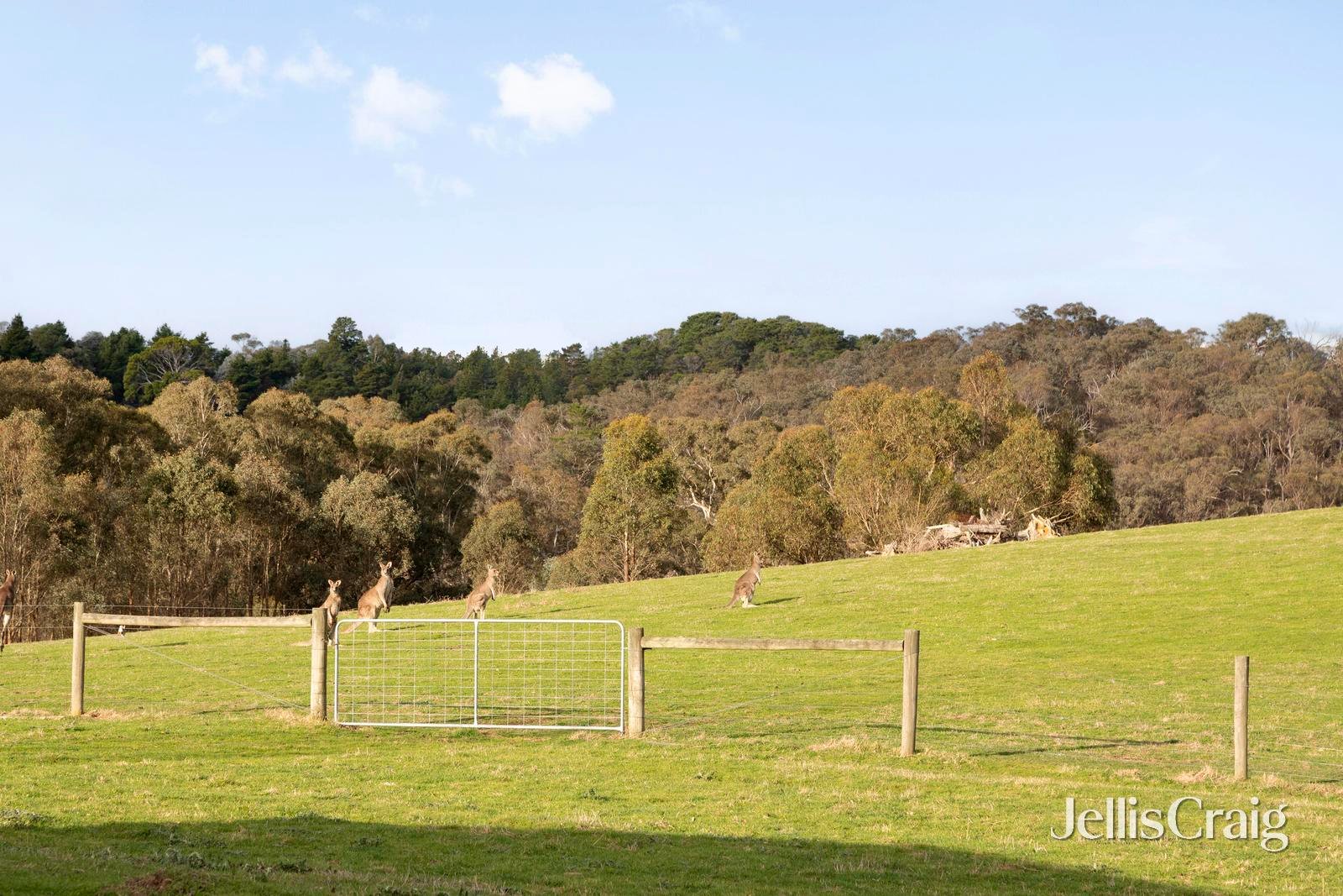 31 Laceys Road, Cottles Bridge image 30