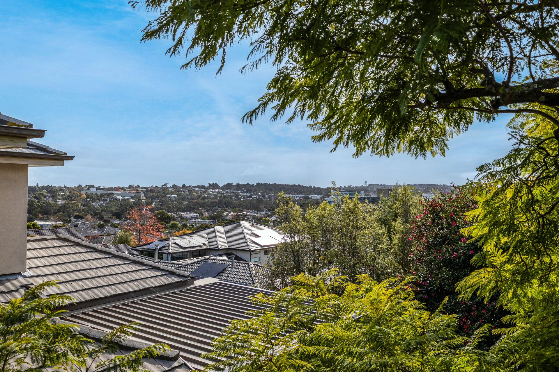 31 Leyland Road, Mount Waverley image 10