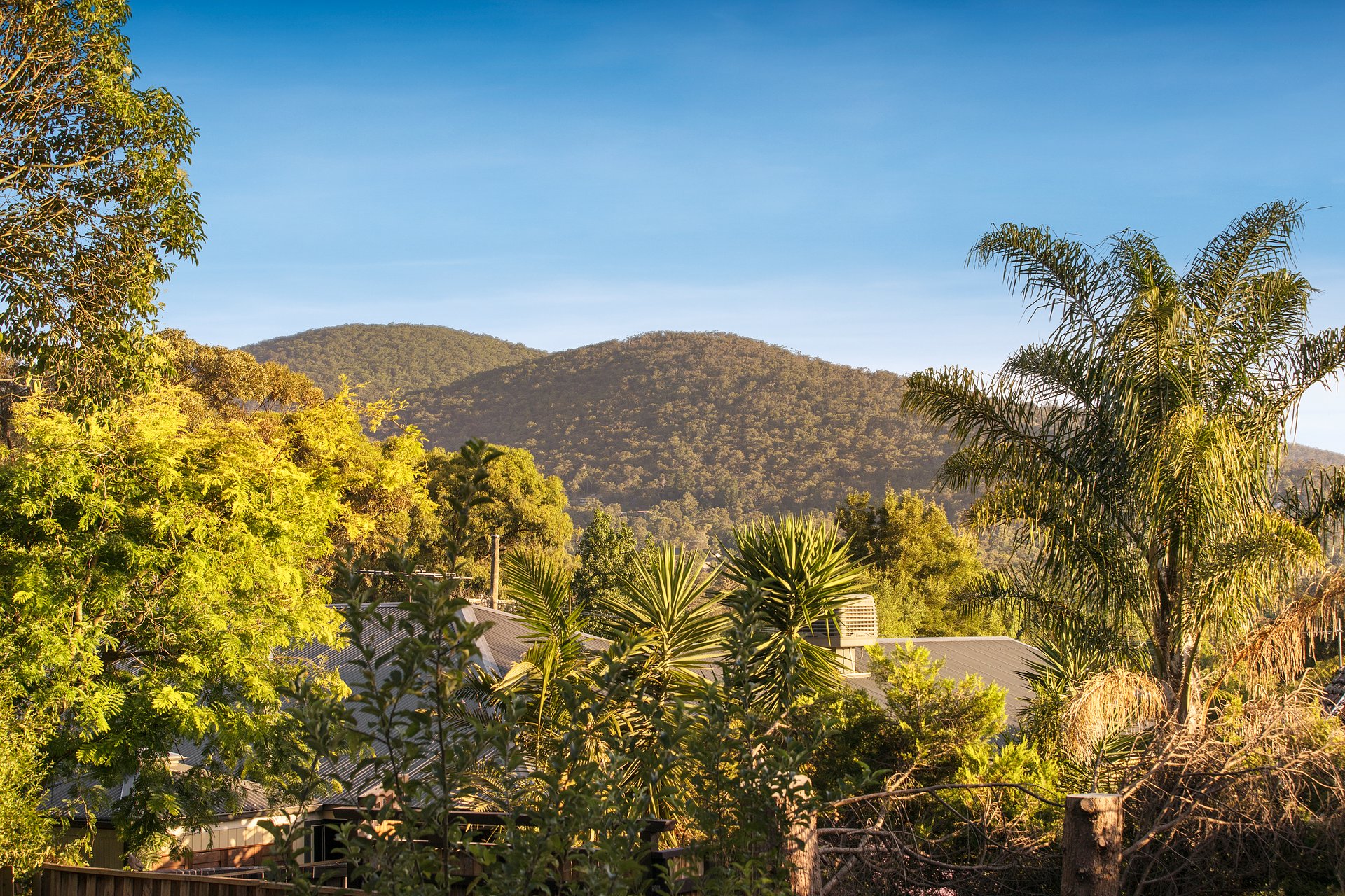 31 Lockwoods Road, Boronia image 10