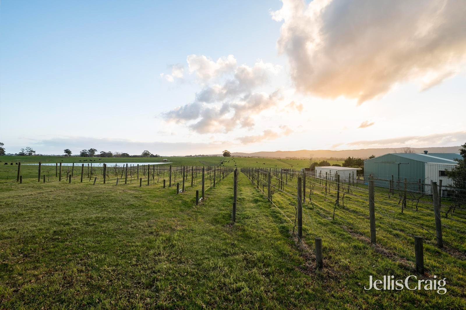31 Melba Highway, Yering image 2