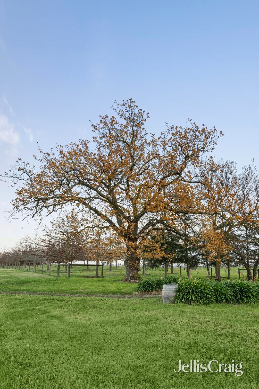 31 Melba Highway, Yering image 11