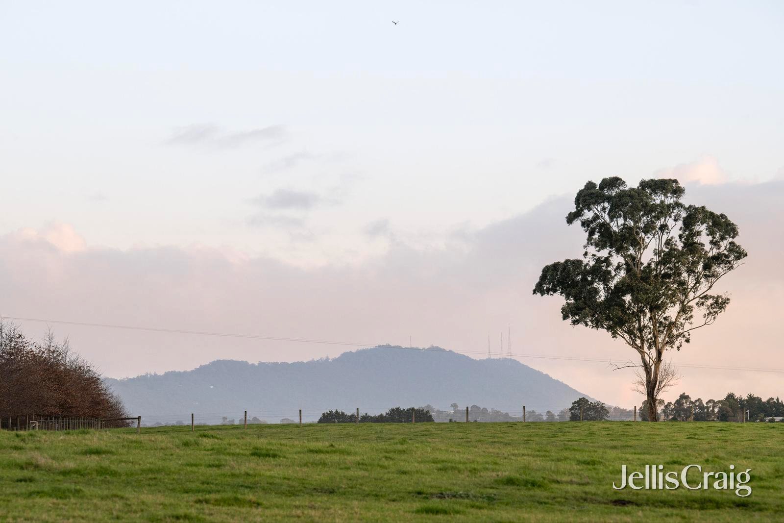 31 Melba Highway, Yering image 12