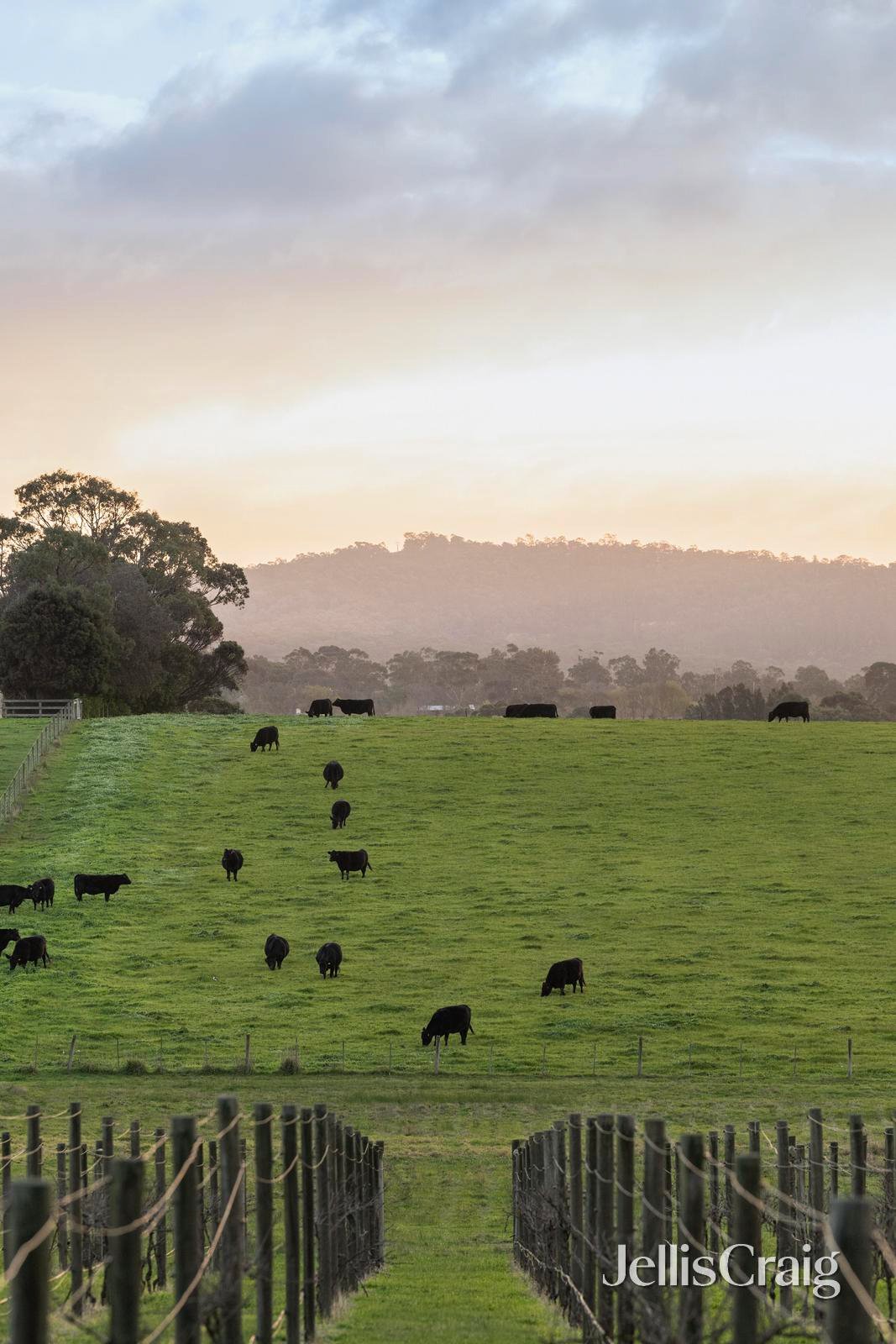 31 Melba Highway, Yering image 13