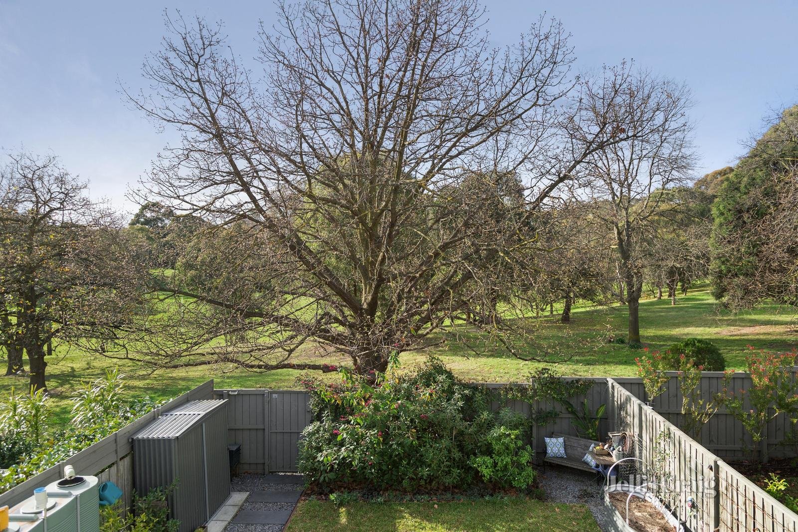 31 Morey Street, Camberwell image 10
