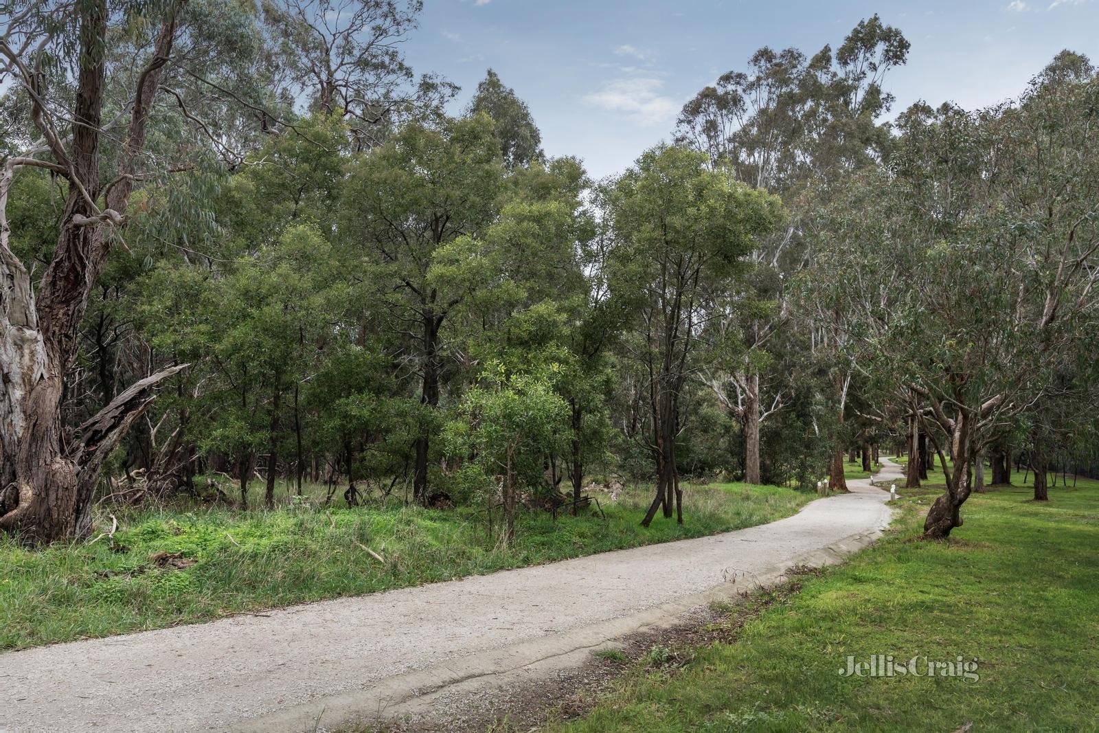 31 Patterson Avenue, Burwood image 10