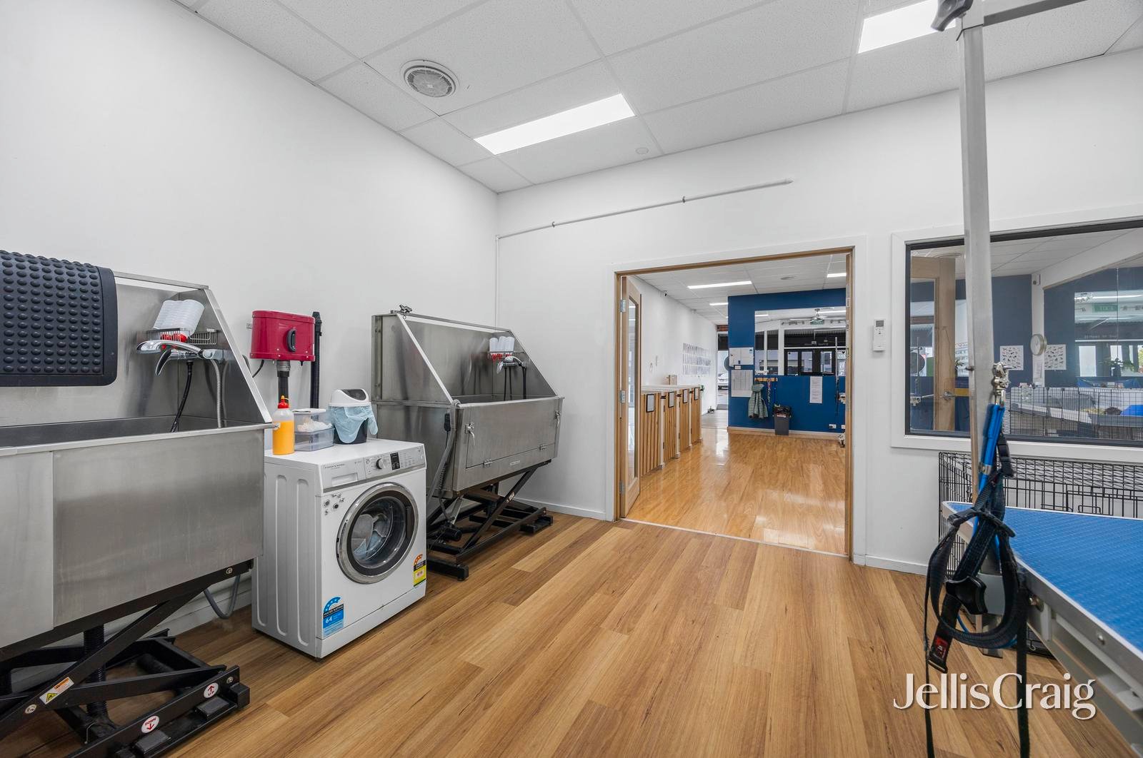 31 Peel Street South, Bakery&nbsp;Hill image 5