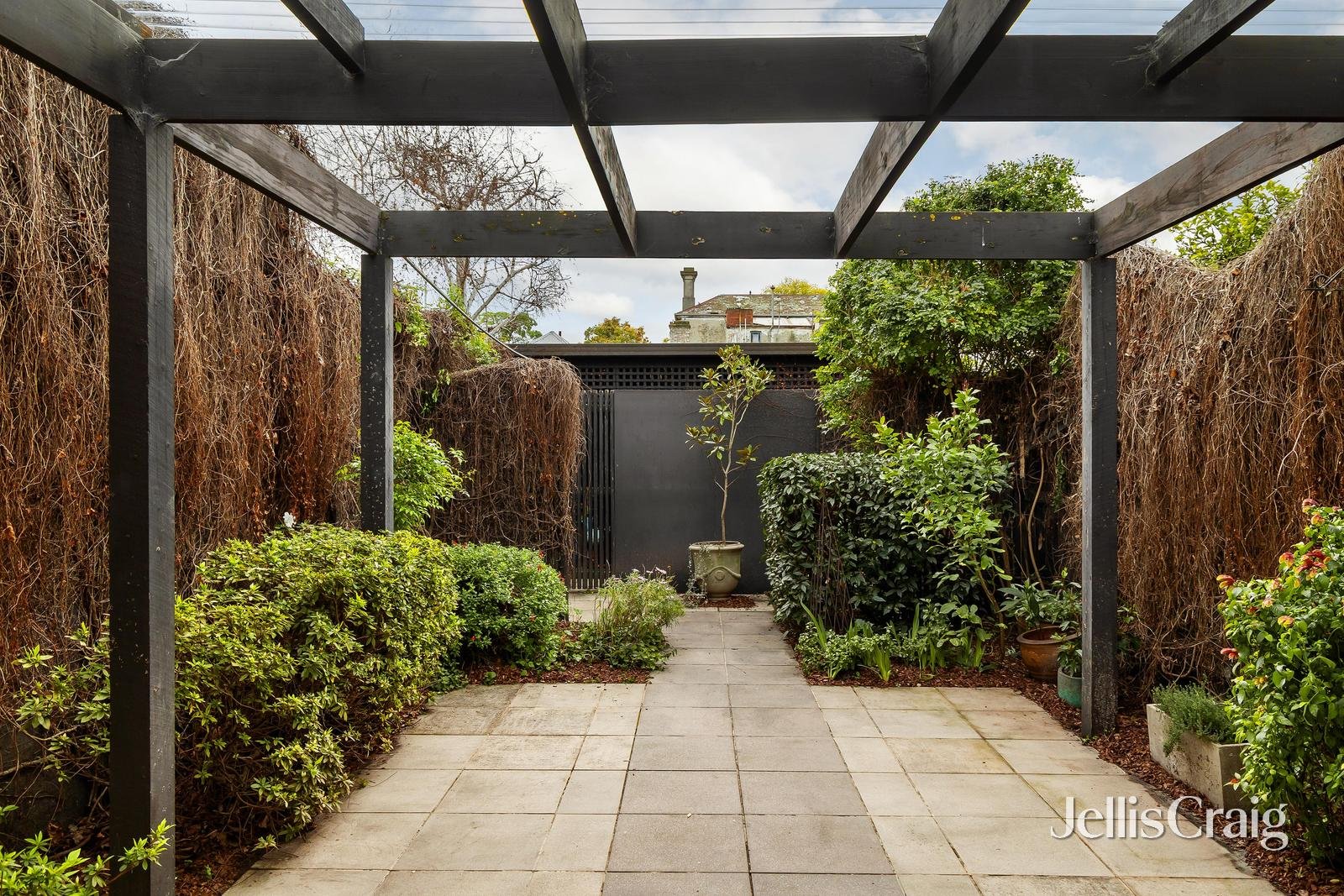 31 Pine Street, Hawthorn image 3
