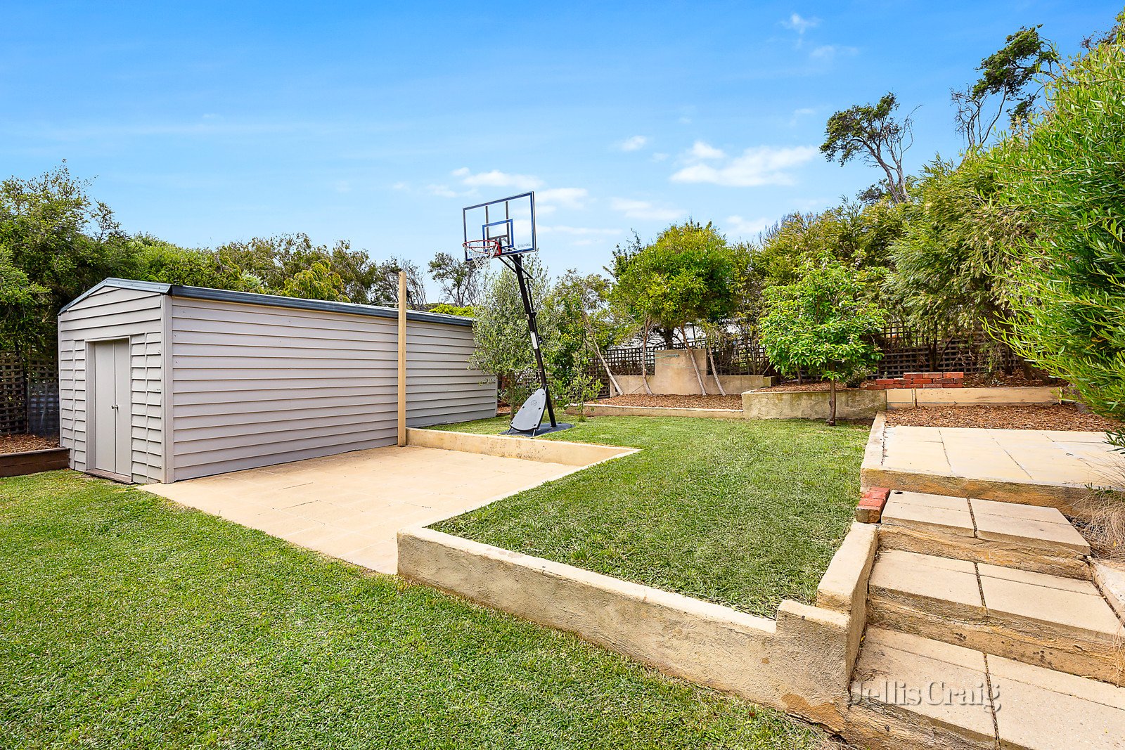 31 Reeves Street, Blairgowrie image 11